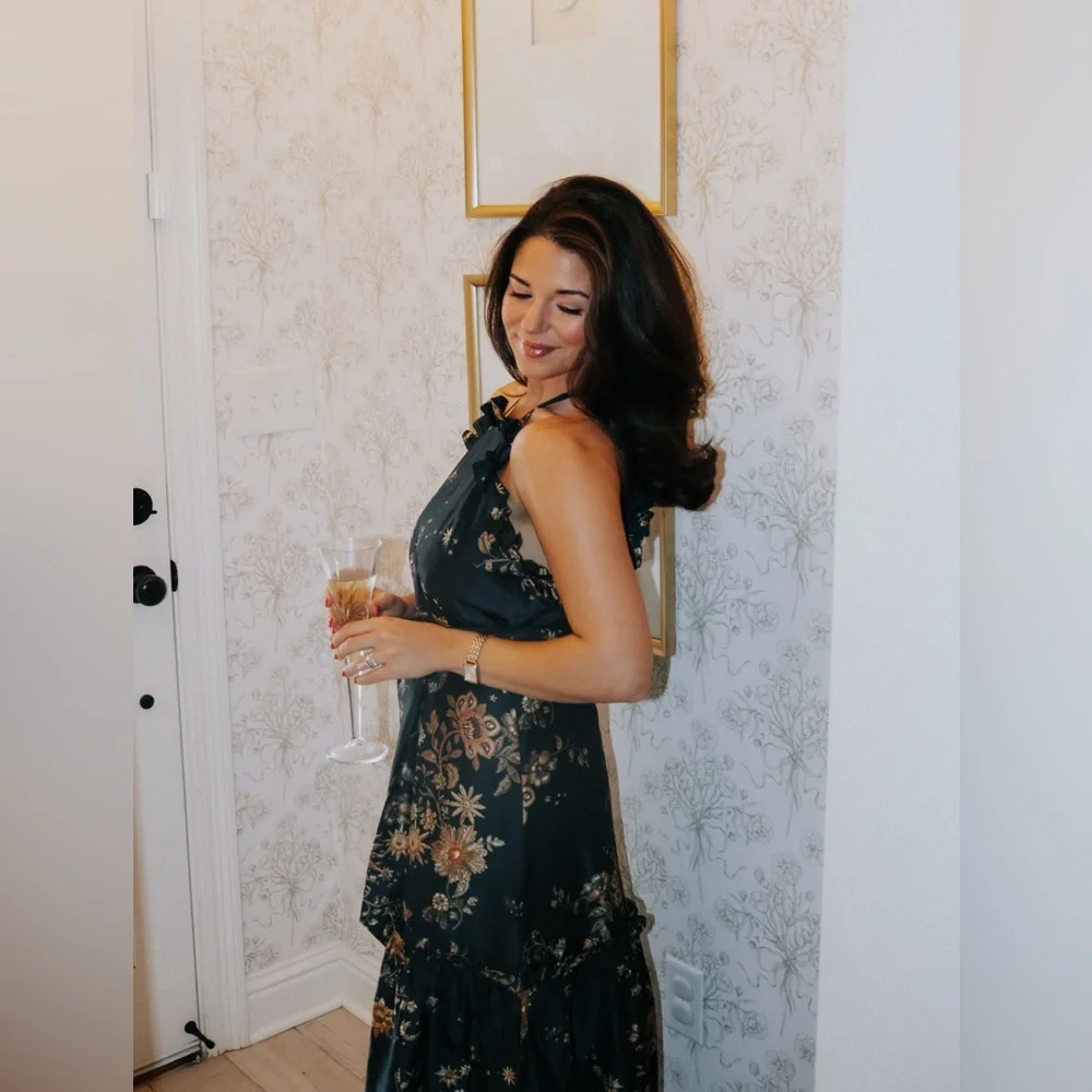 Marie Oliver Keenan Dress NWT - Picture 4 of 5